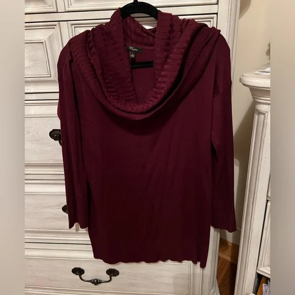 Cupio Sweaters Cupio Maroon Burgundy Turtleneck Sweater Tunic - Main Image
